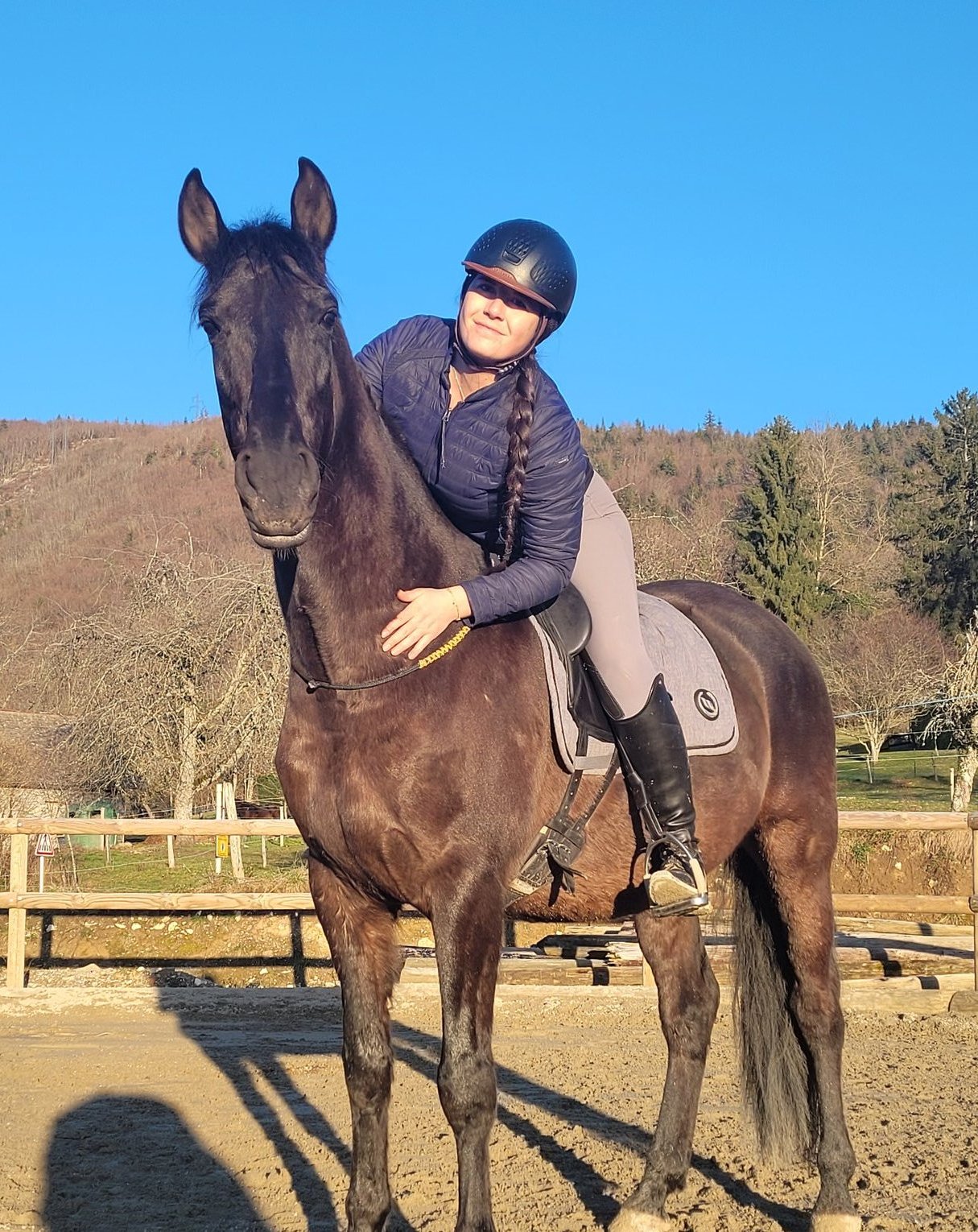 Séance de travail avec un cheval au soleil